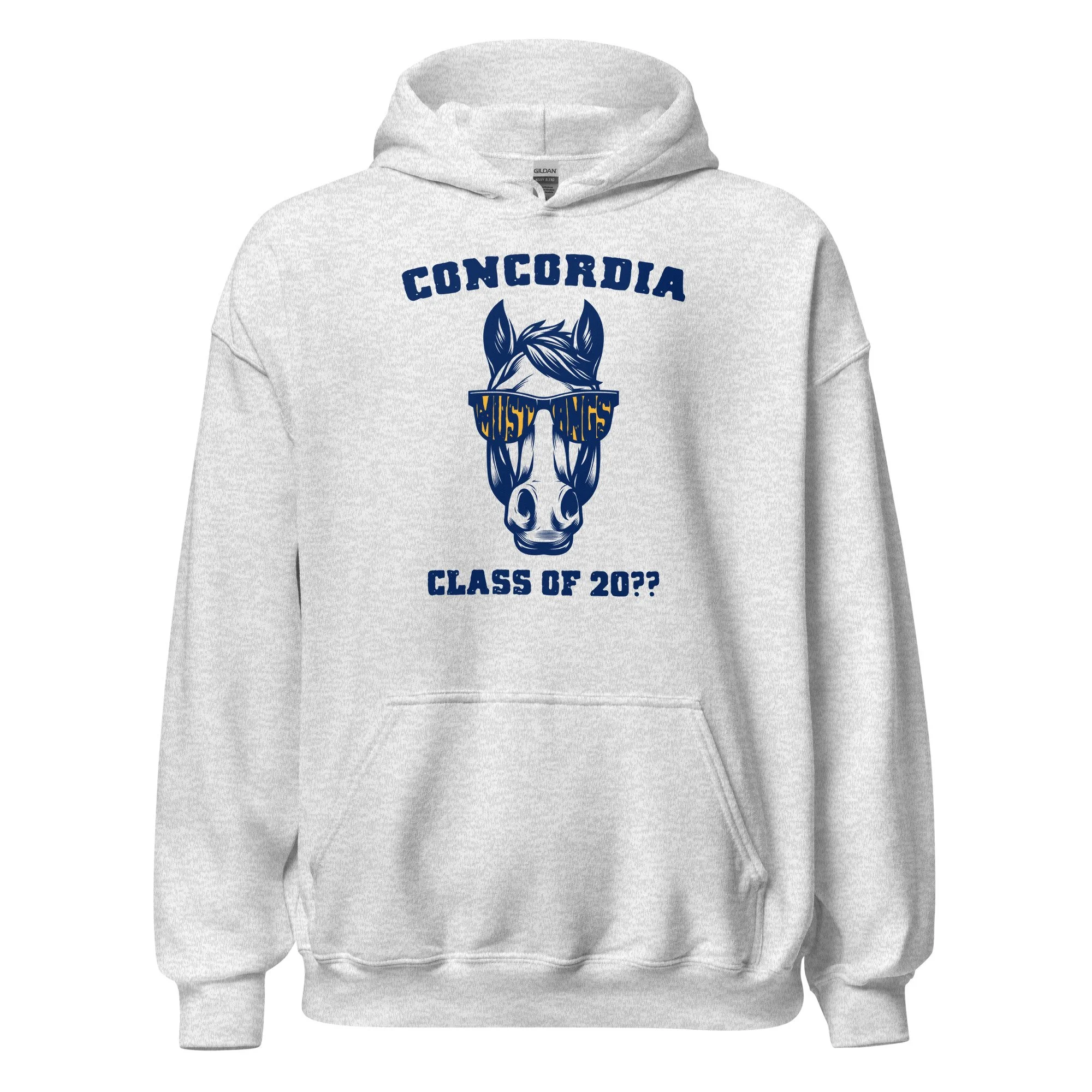 unisex-heavy-blend-hoodie-ash-front-6a650b39c8444.jpg