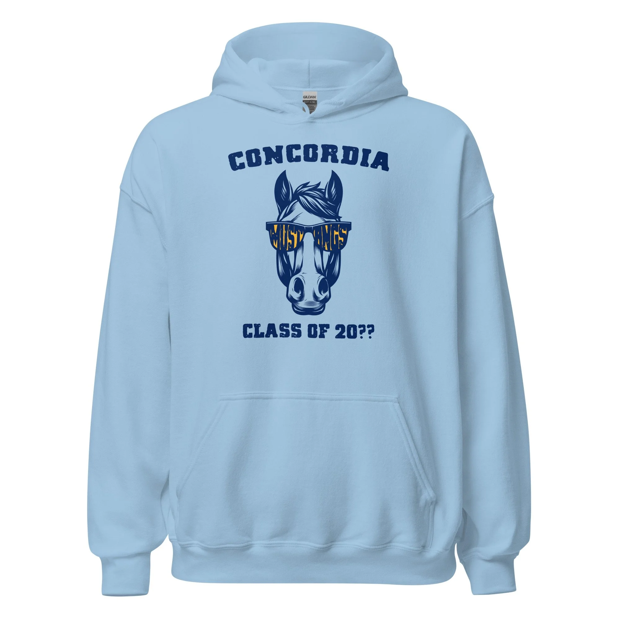 unisex-heavy-blend-hoodie-light-blue-front-6a650b39c868e.jpg