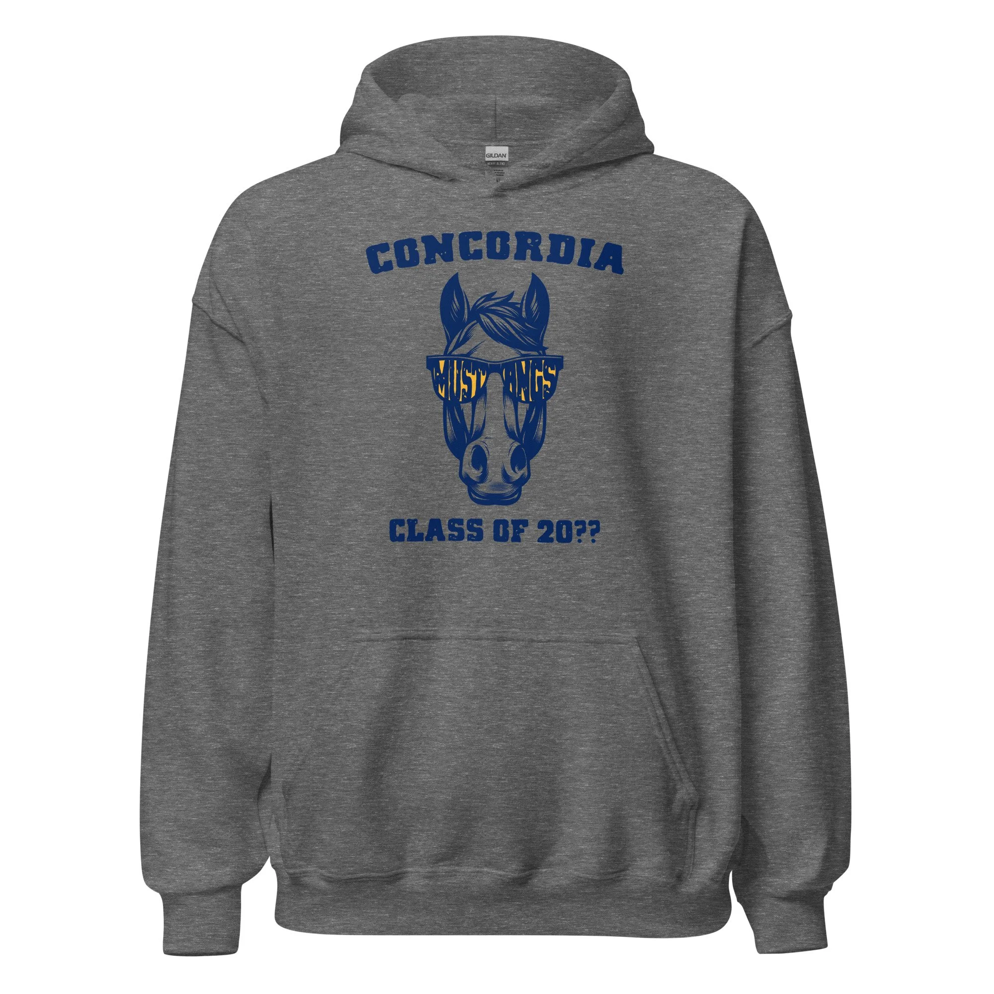 unisex-heavy-blend-hoodie-graphite-heather-front-6a650b39c8797.jpg