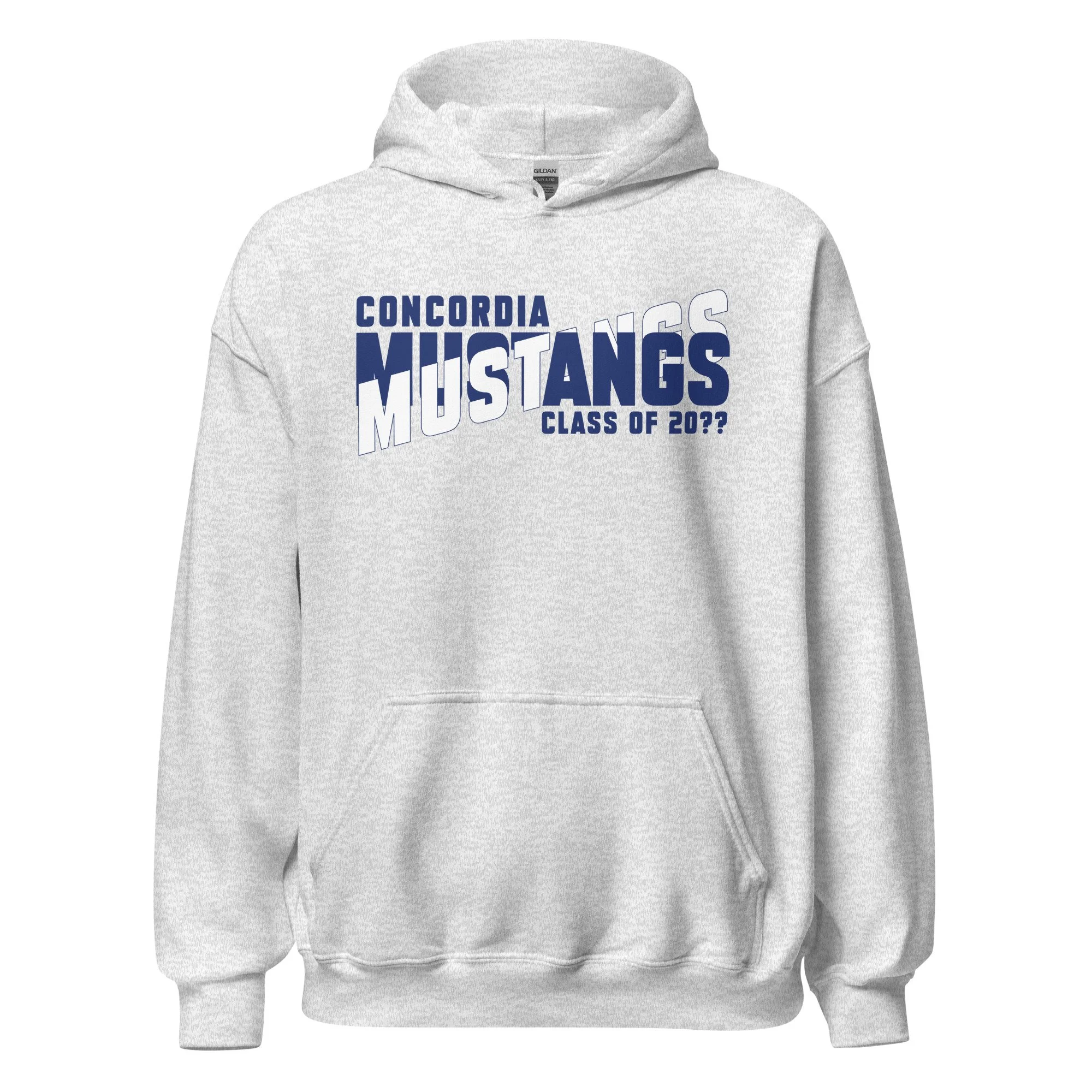 unisex-heavy-blend-hoodie-ash-front-6a650c8dce041.jpg