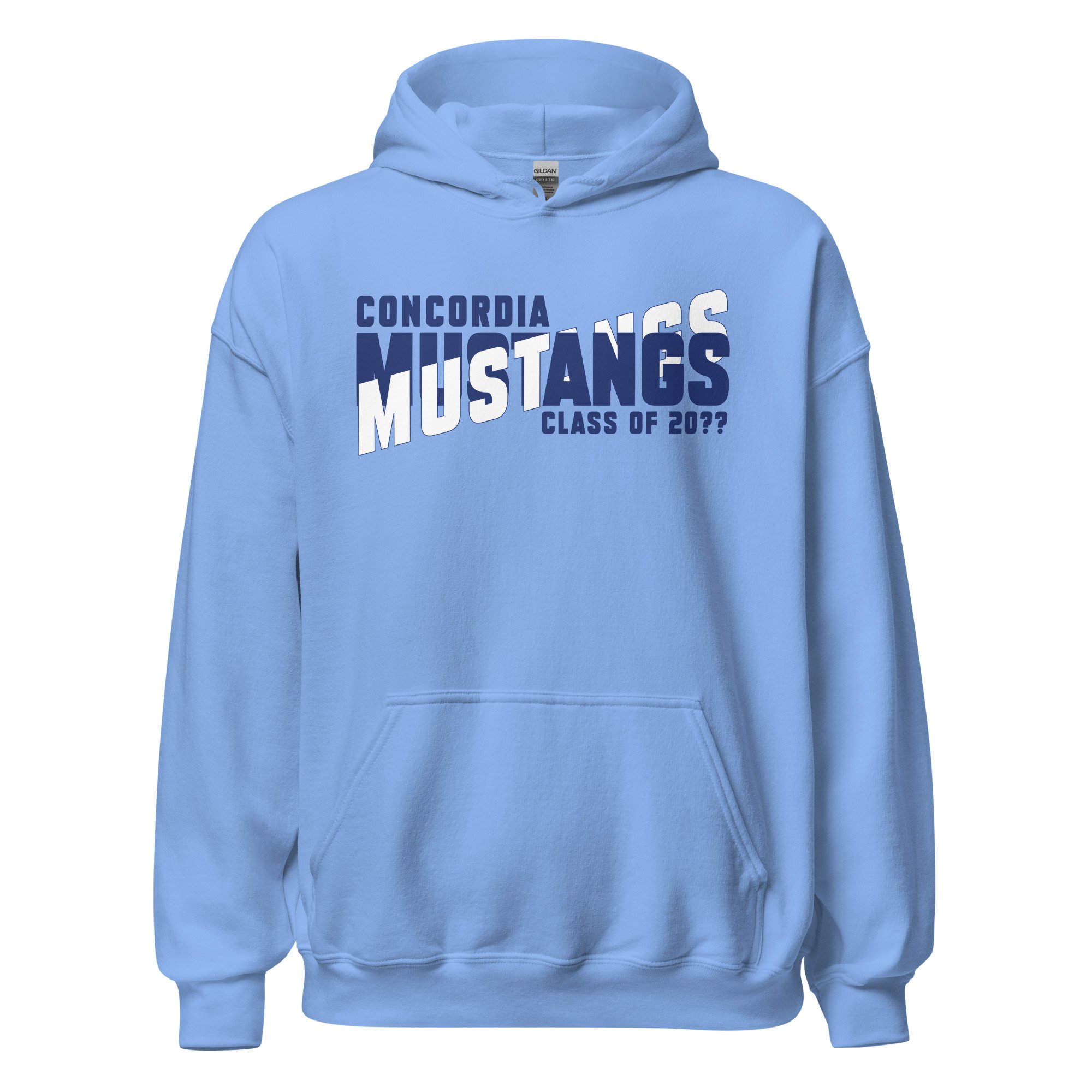 unisex-heavy-blend-hoodie-carolina-blue-front-6a650c8dce159.jpg