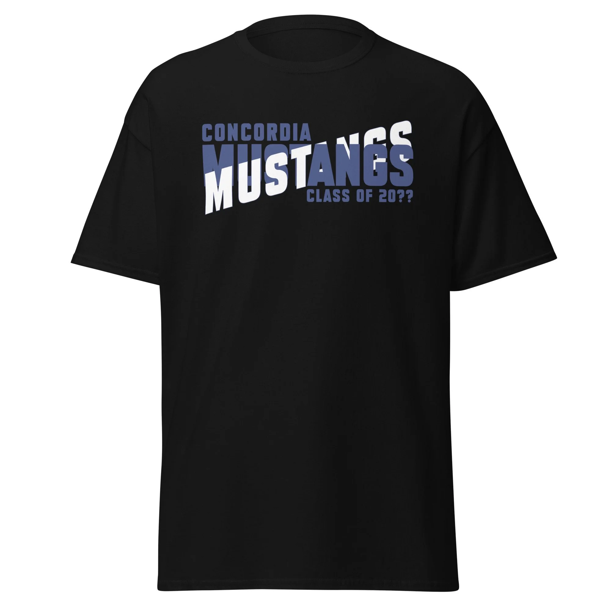 unisex-classic-tee-black-front-6a29efc263779.jpg
