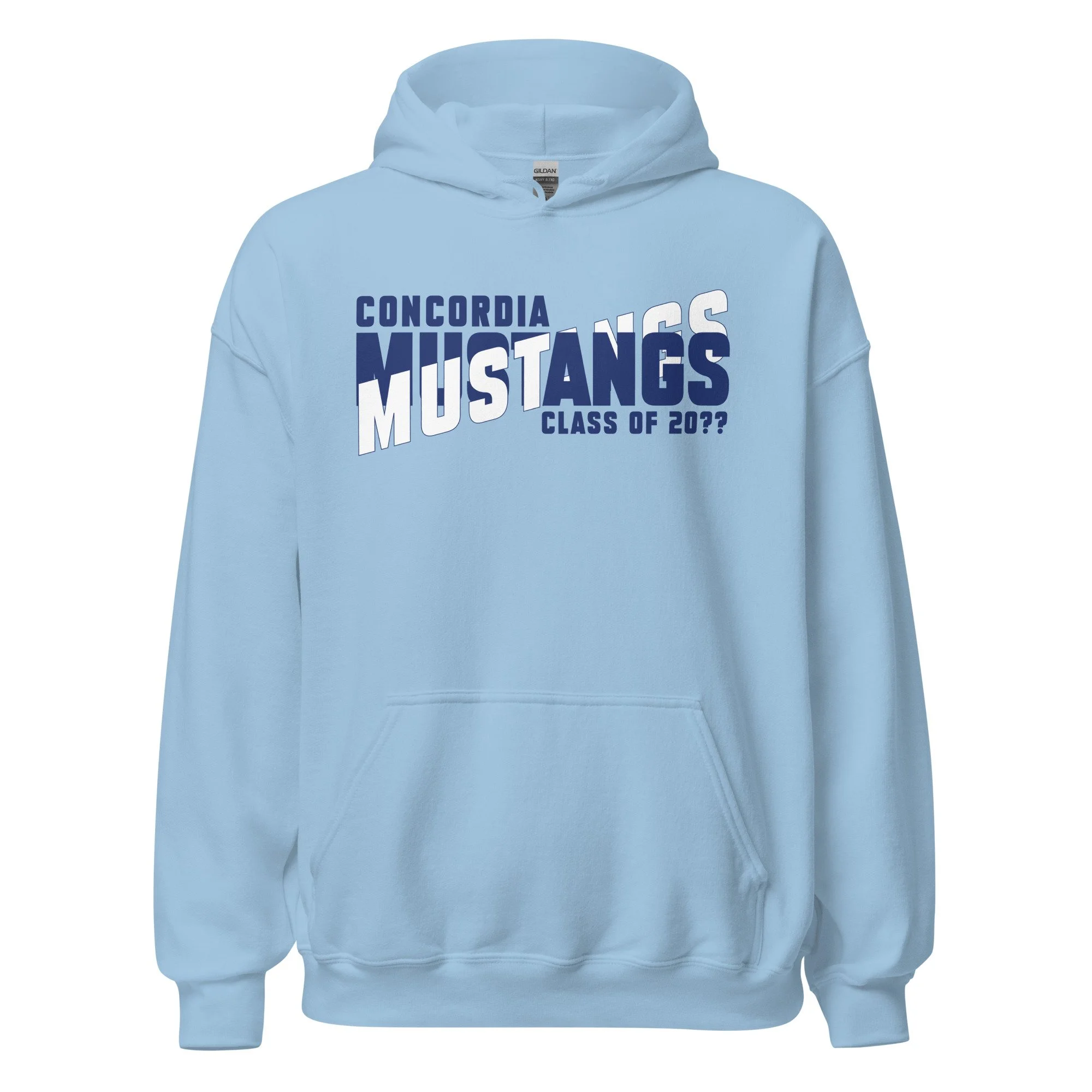 unisex-heavy-blend-hoodie-light-blue-front-6a650c8dce1c4.jpg