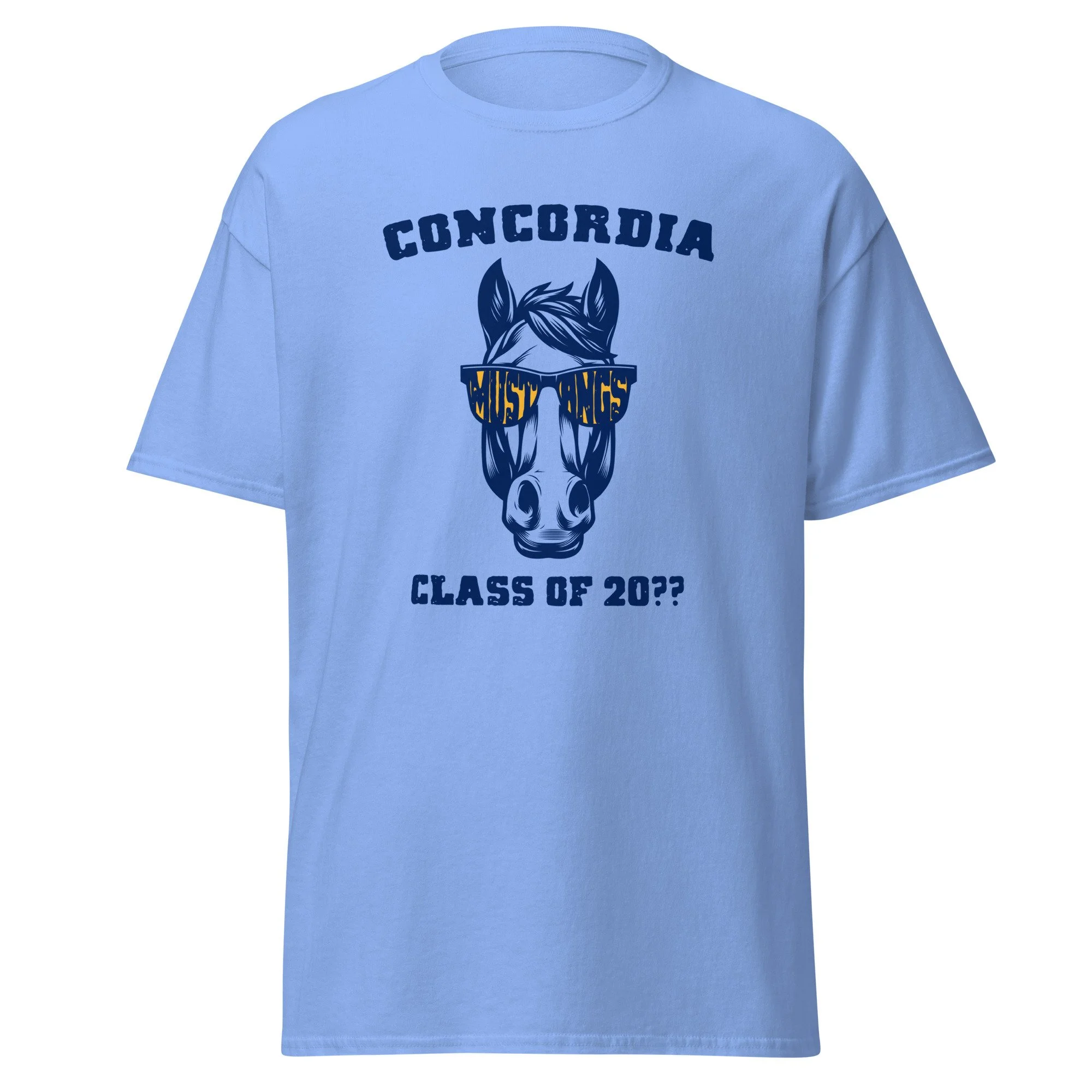 unisex-classic-tee-carolina-blue-front-6a29e9ea88603.jpg
