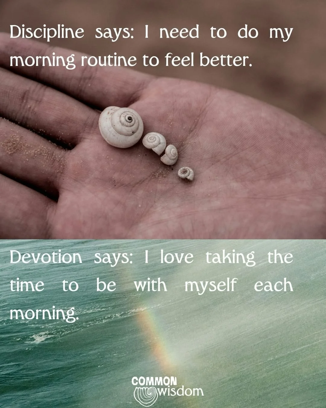 one of the first things you&rsquo;re told when you try to heal naturally is that you&rsquo;ll need a lot of discipline.

I&rsquo;ve been battling the lil doozy of discipline for years and to be honest? it&rsquo;s done my head in.

it quietly turned h