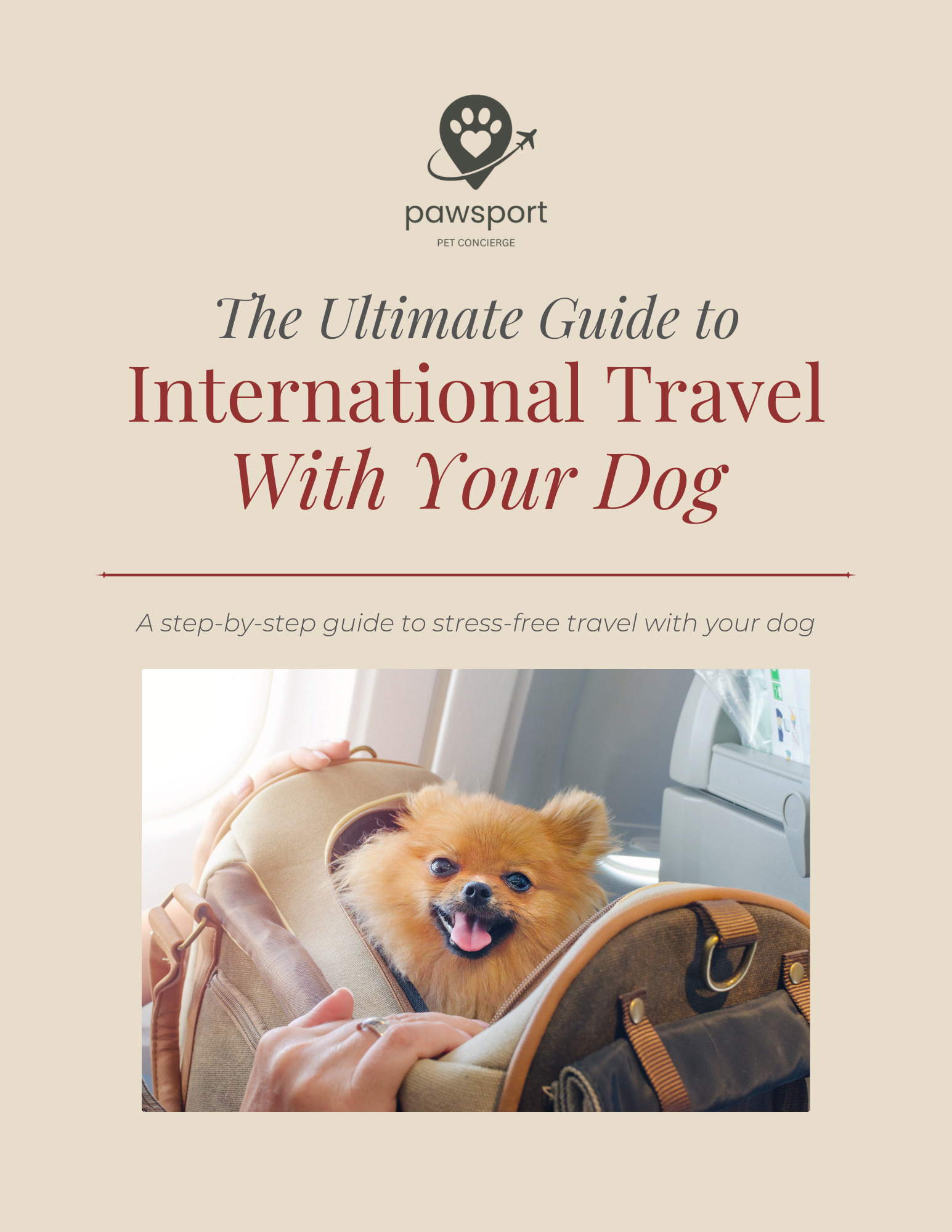 The Ultimate Travel Guide to International Travel with Your Dog