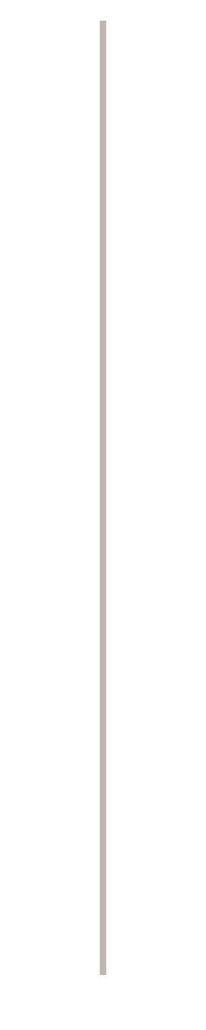 A black and brown pistol grip with a metal barrel, viewed from the side.