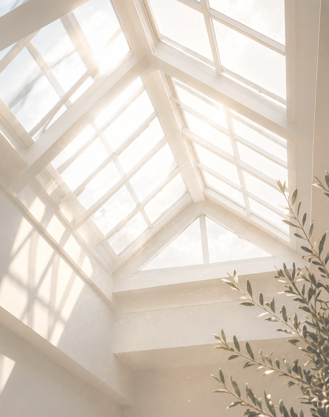 Sunlight streaming through a large, white-framed glass ceiling and windows in a bright indoor space, with a green plant in the foreground.