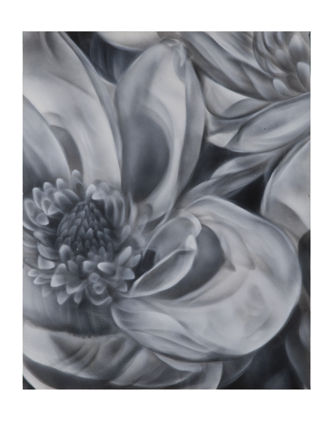 Magnolia 11x14"