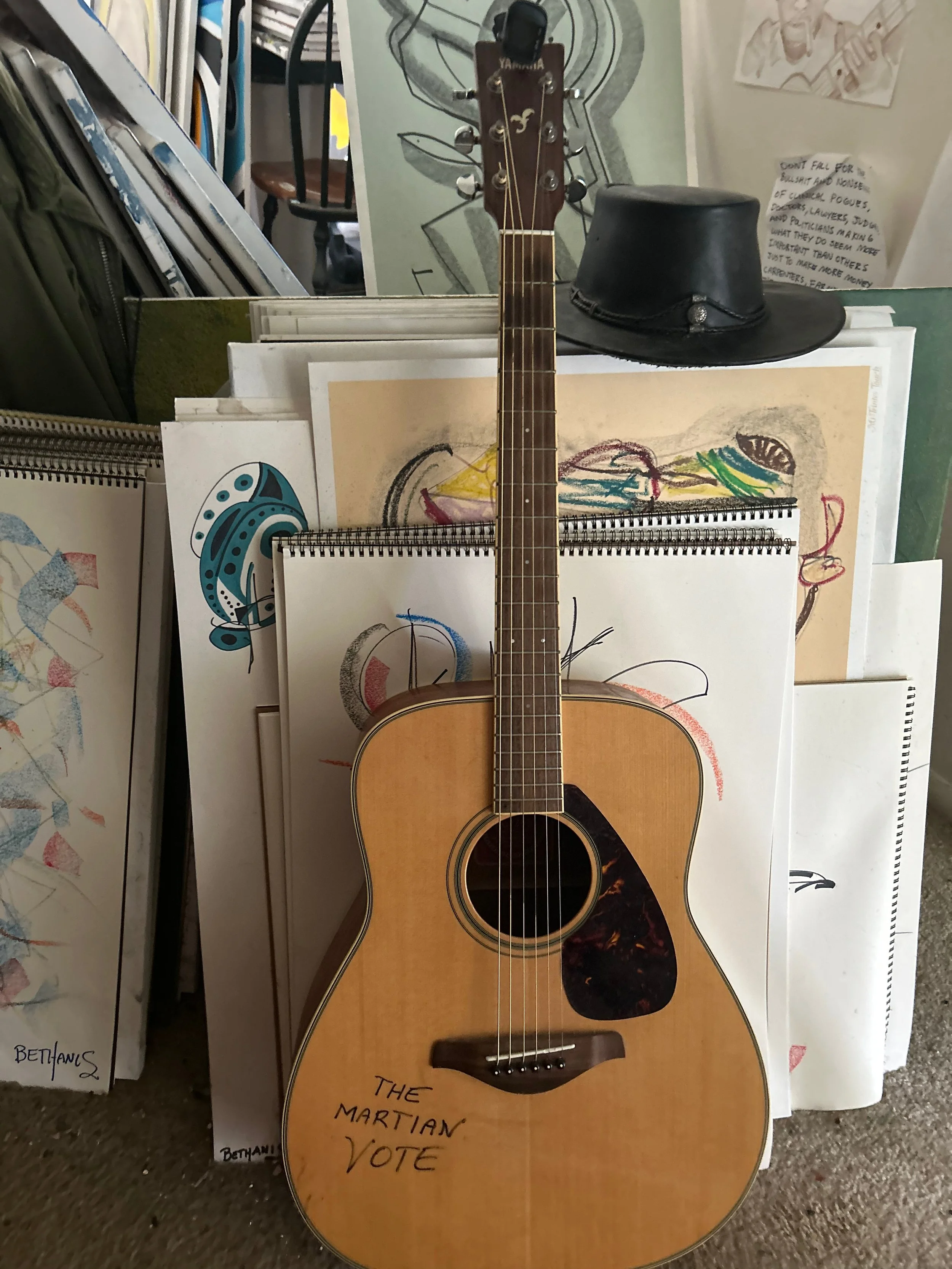 Peter Jr Guitar