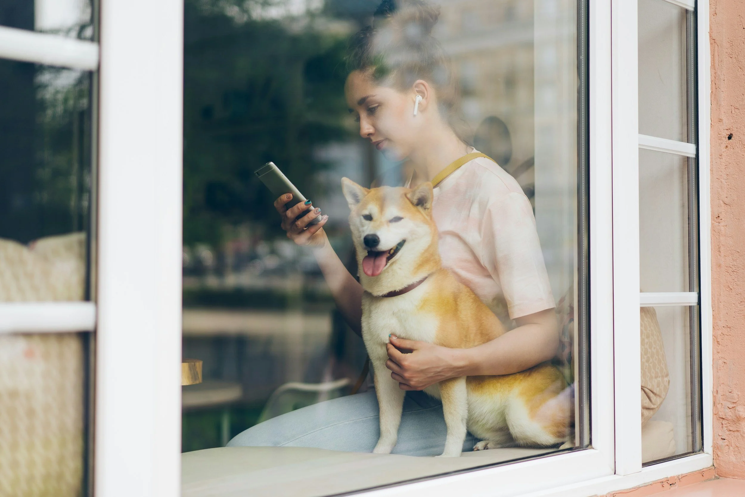 Young woman with earbuds sitting by a window holding a Shiba Inu dog on her lap, looking at her phone.