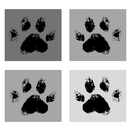 Four black paw print stencils on gray backgrounds arranged in a 2x2 grid.