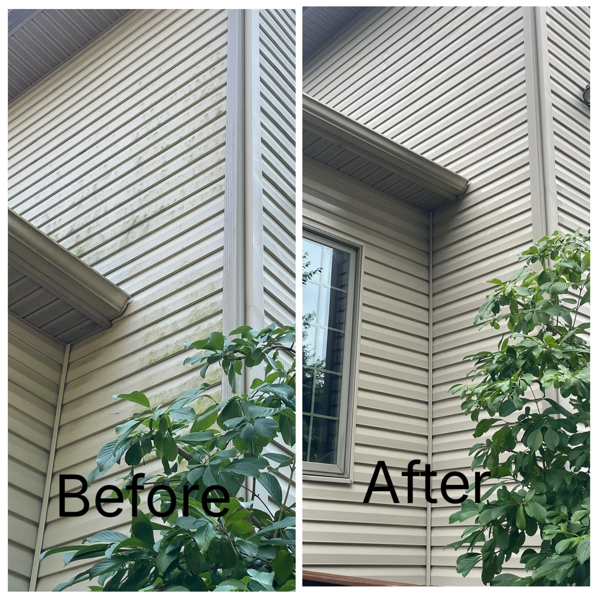 Power washed Vinyl siding