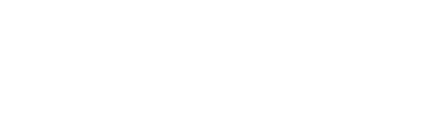 Slice and Grill™