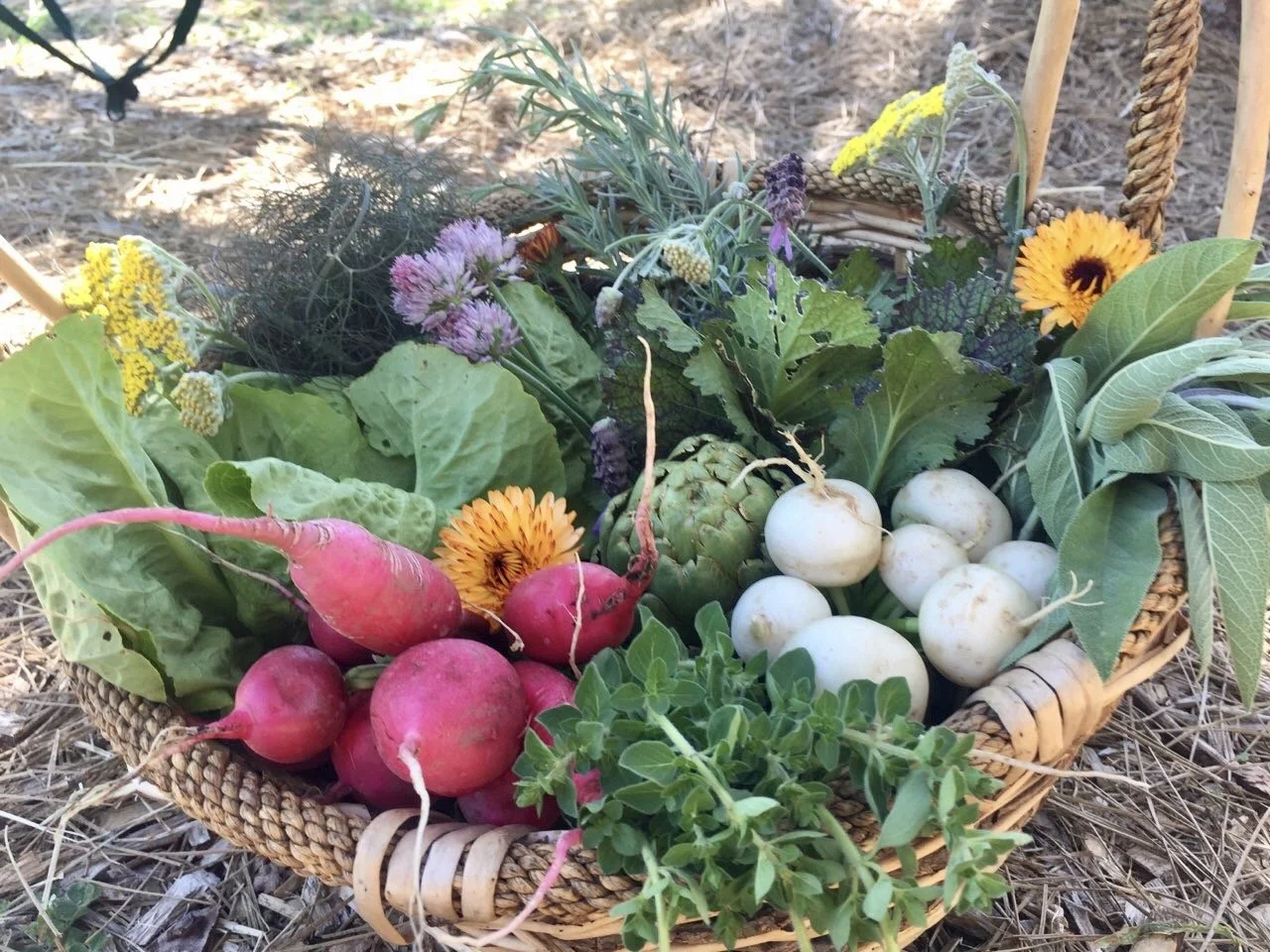 KinderFarm Spring Session