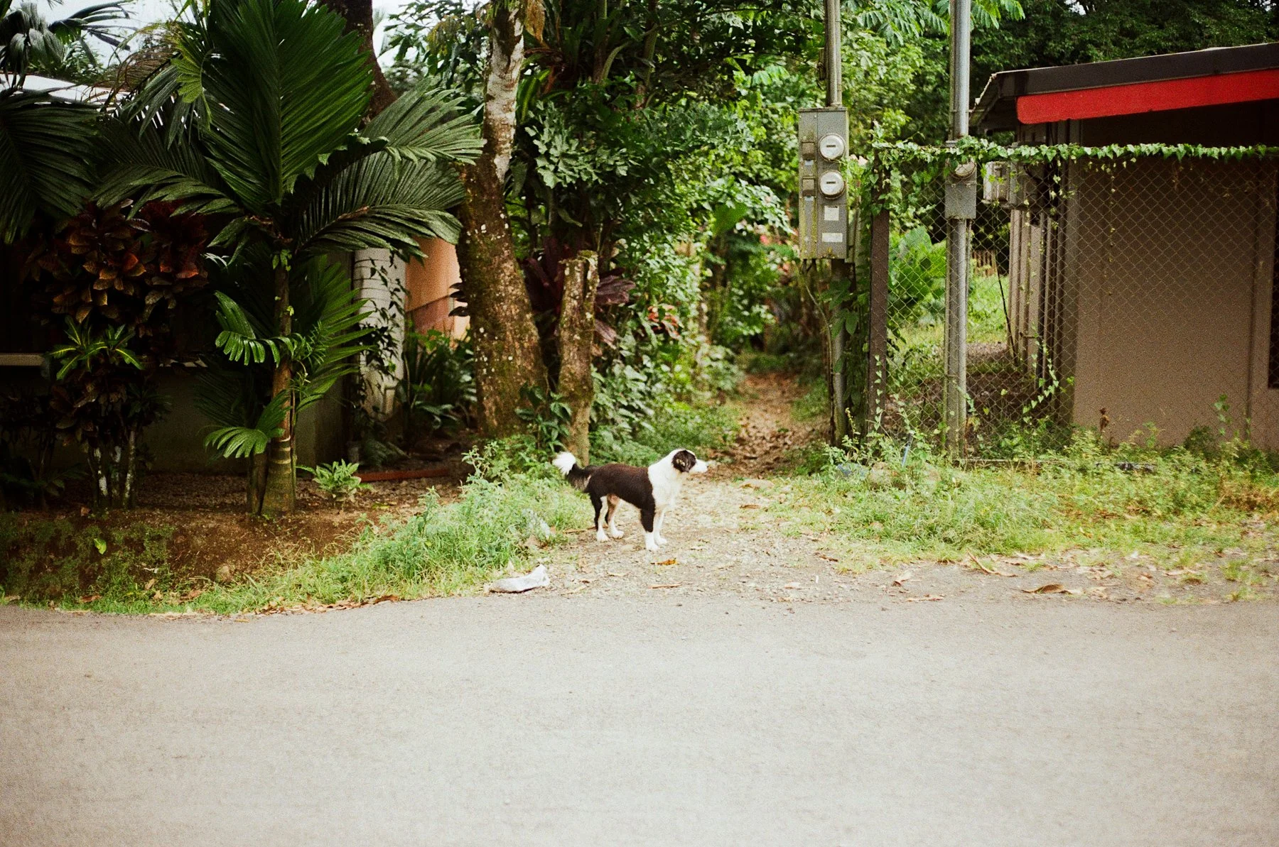 costa rica-51.jpg