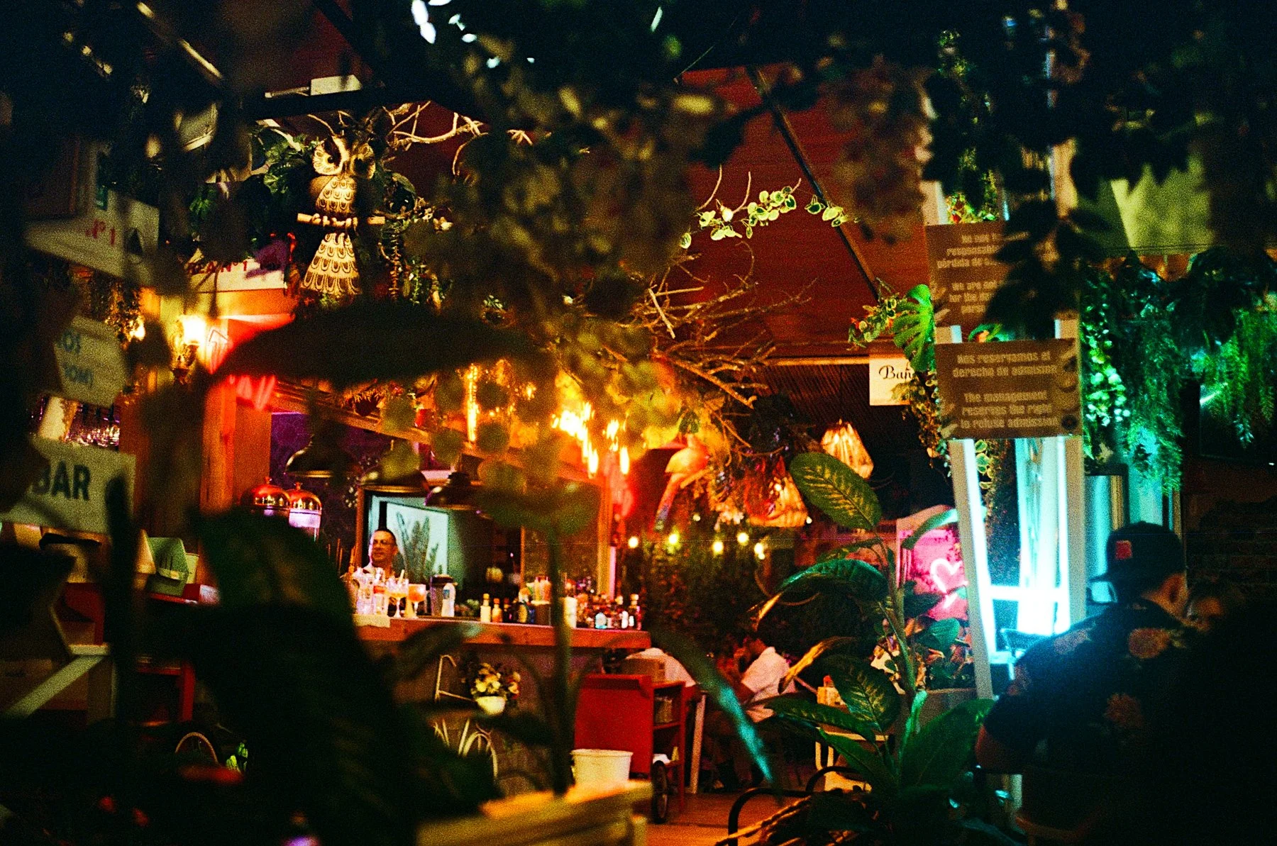 costa rica-41.jpg
