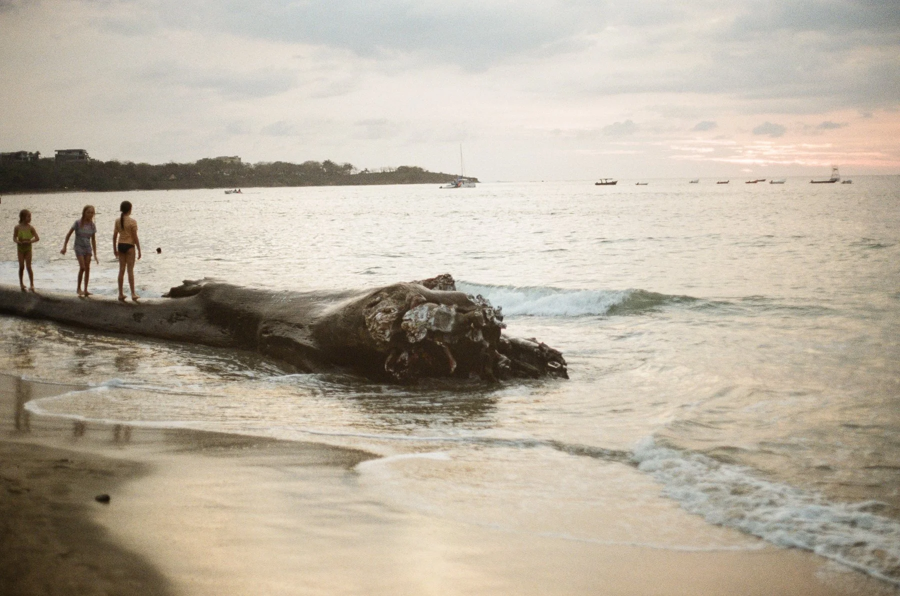 costa rica-1.jpg