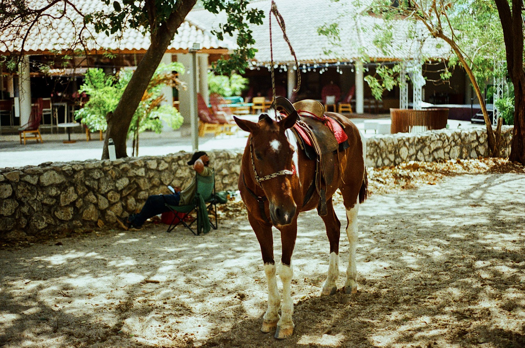 costa rica-7.jpg