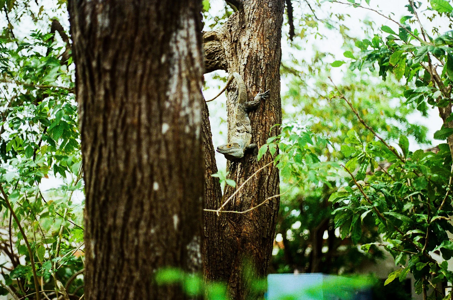 costa rica-40.jpg