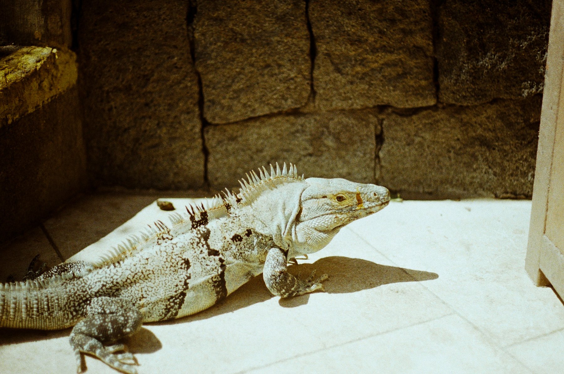 costa rica-9.jpg