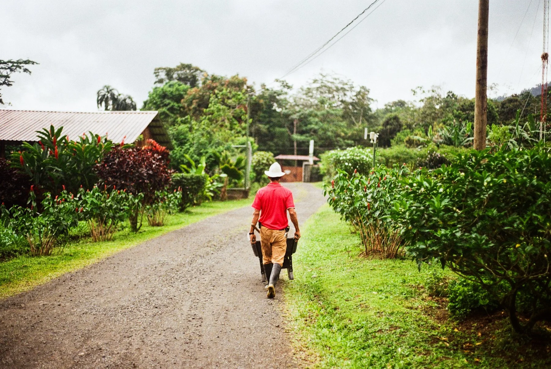 costa rica-1-2.jpg