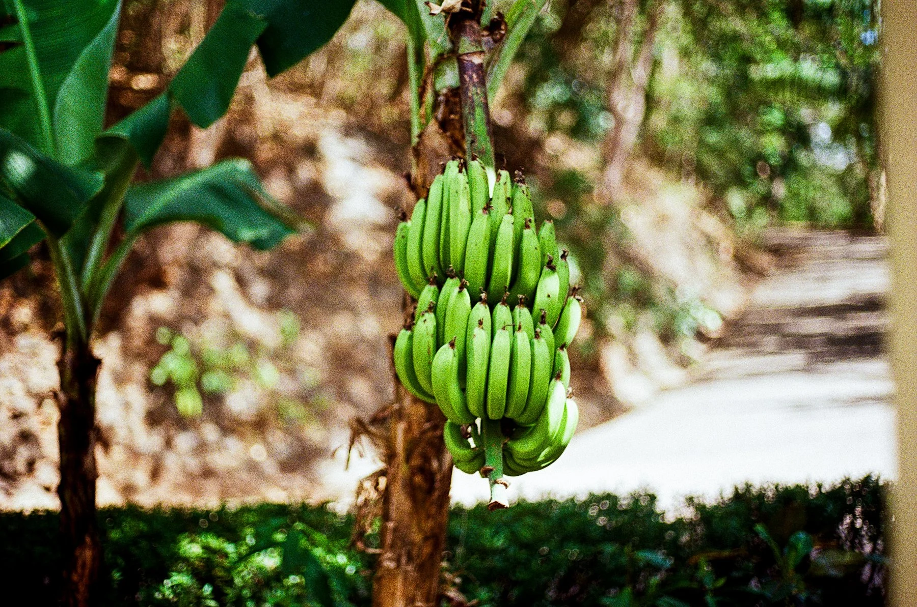 costa rica-34.jpg