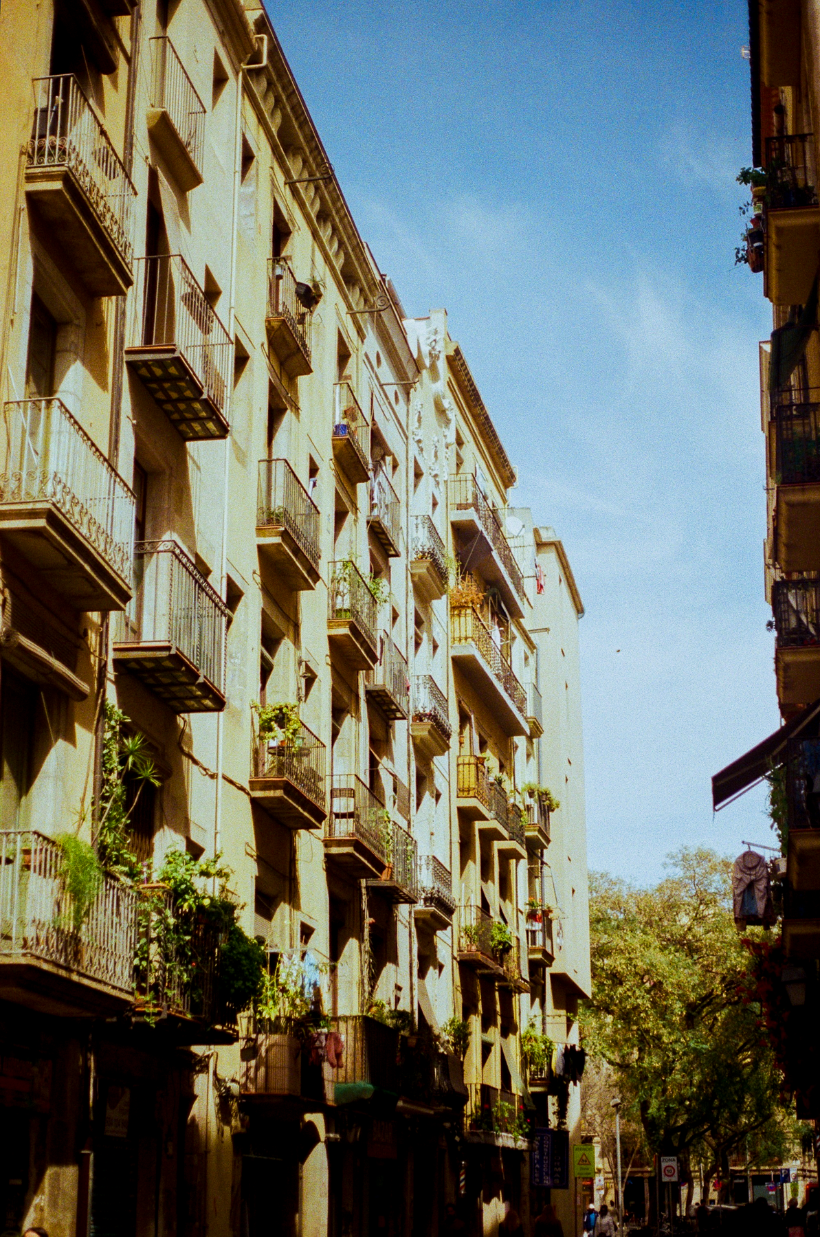 barcelona-10.png