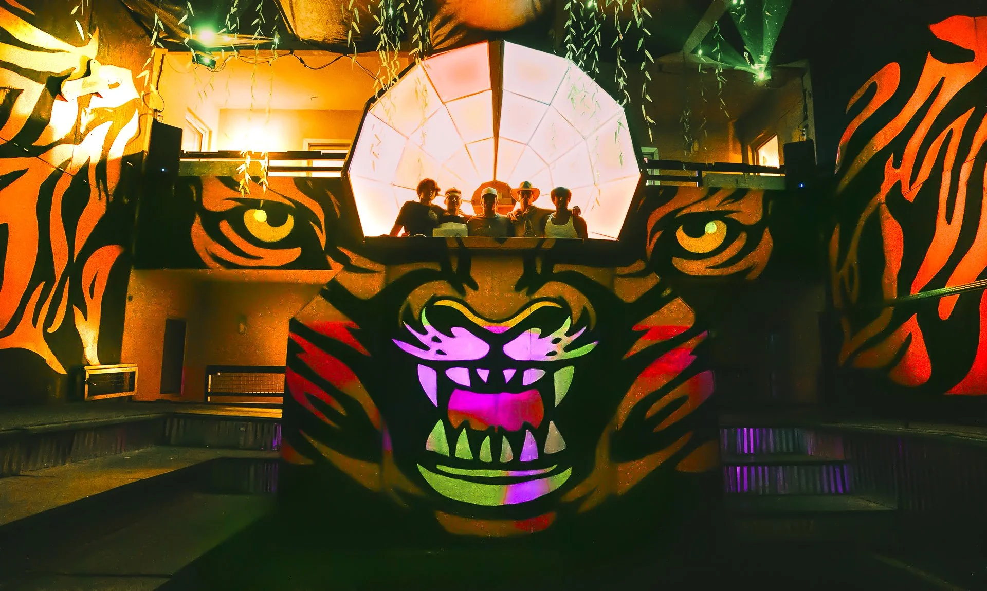 Tiger Face-1.jpg
