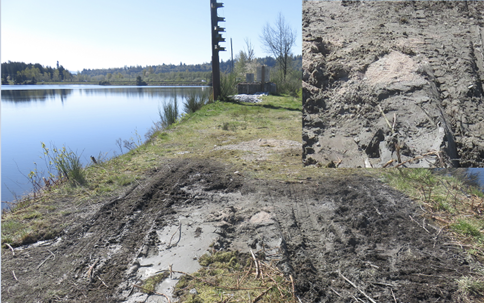 Soil disturbance or excavation site near a lake, with a close-up inset showing a buried object or rock.