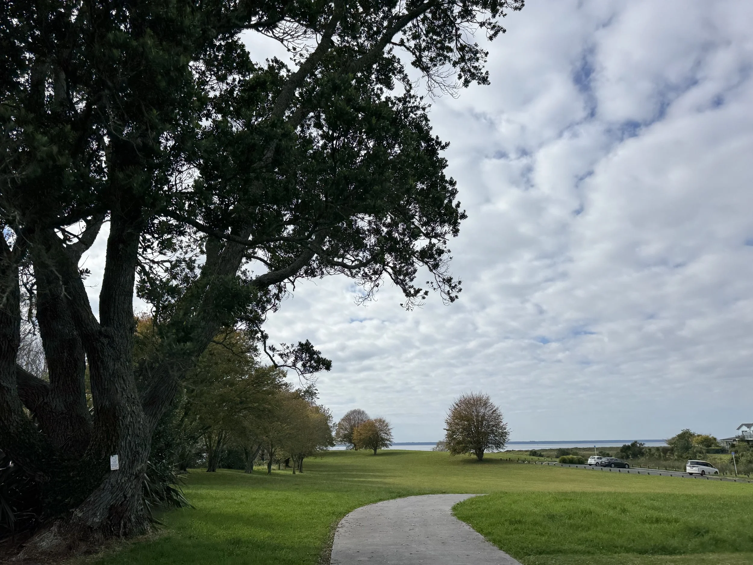 IMG_3392.jpeg