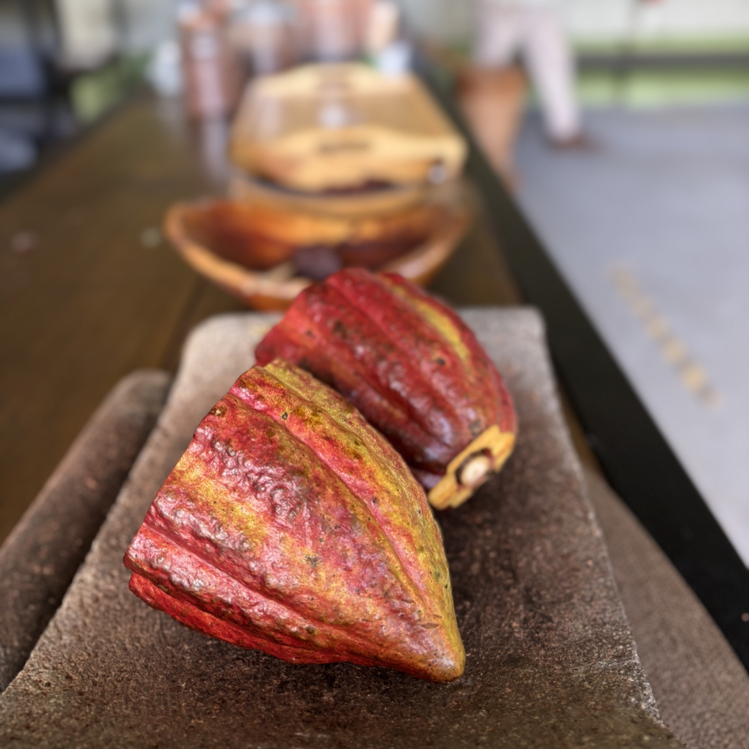 Copia de SLCR - RIO CELESTE_CACAO_CHOLATE TASTING.png