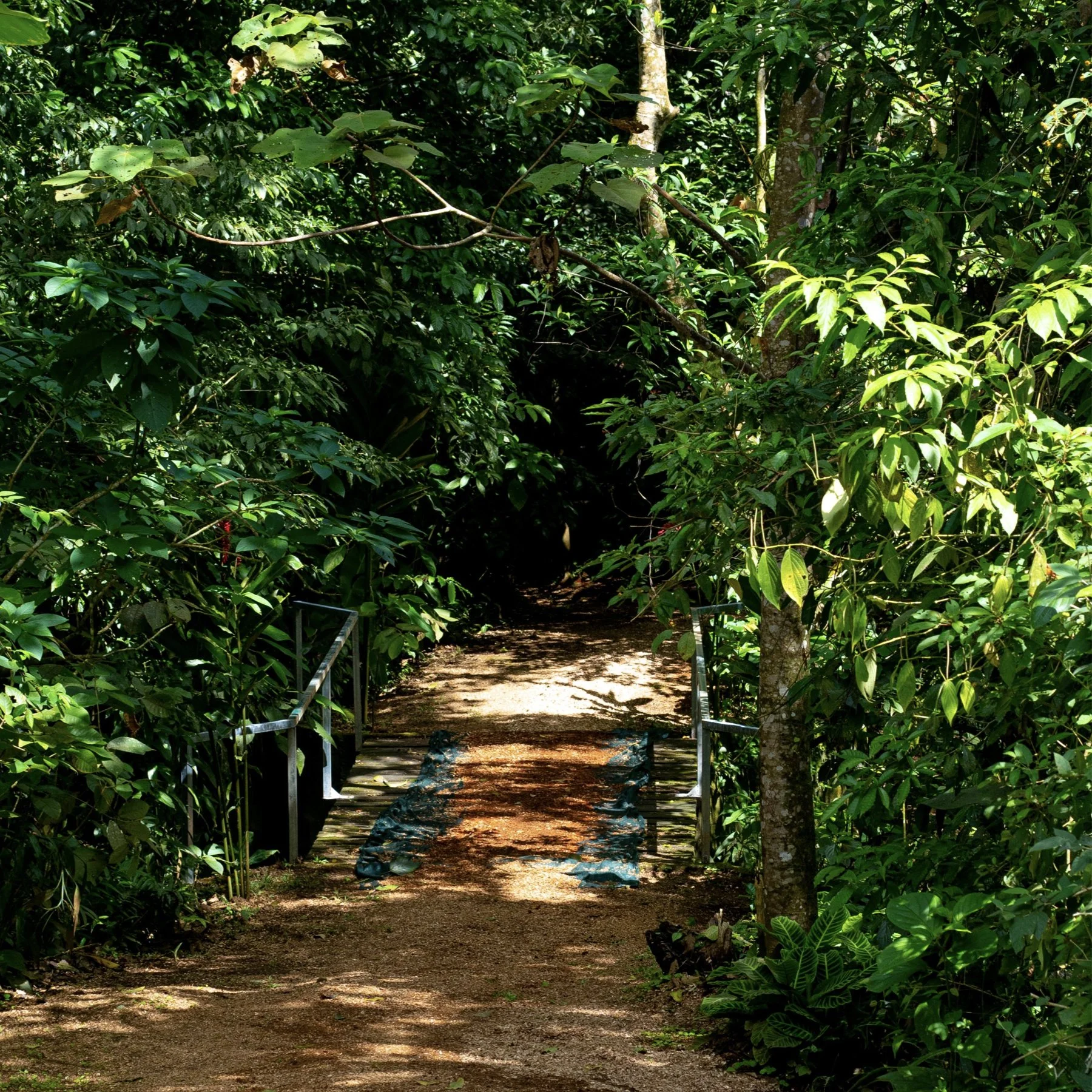 SLCR - RAINFOREST & HOT SPRINGS - FOTOS TOUR.005.jpeg