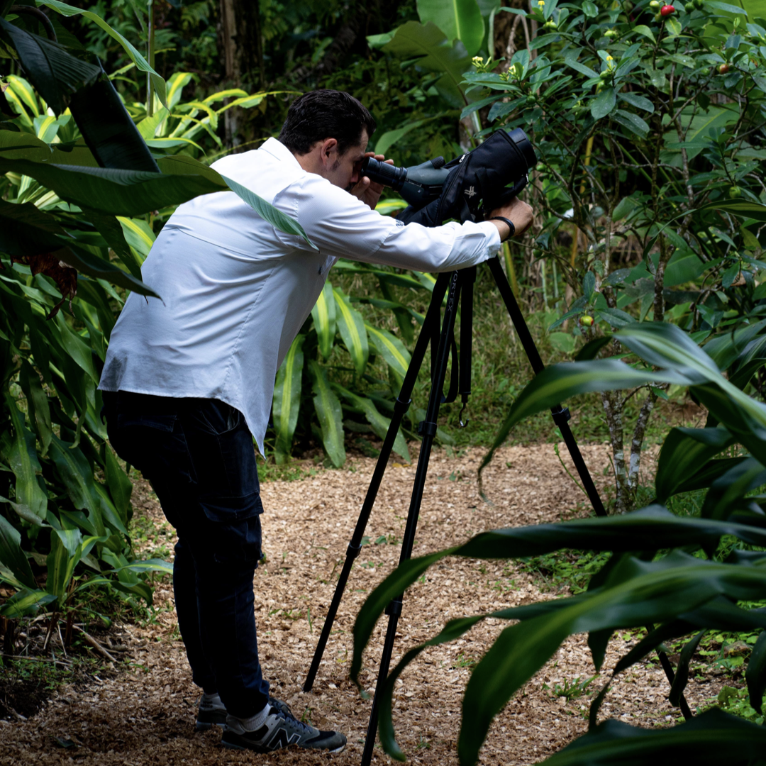 FOTOS TOURS.011.png