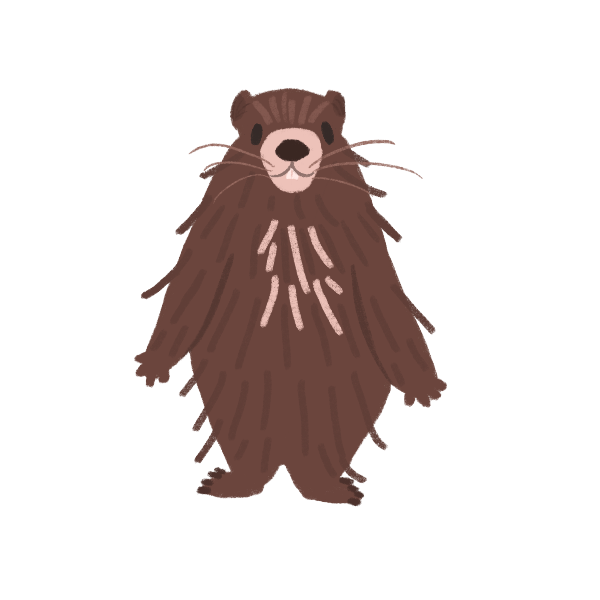 Vancouver_Island_Marmot.png