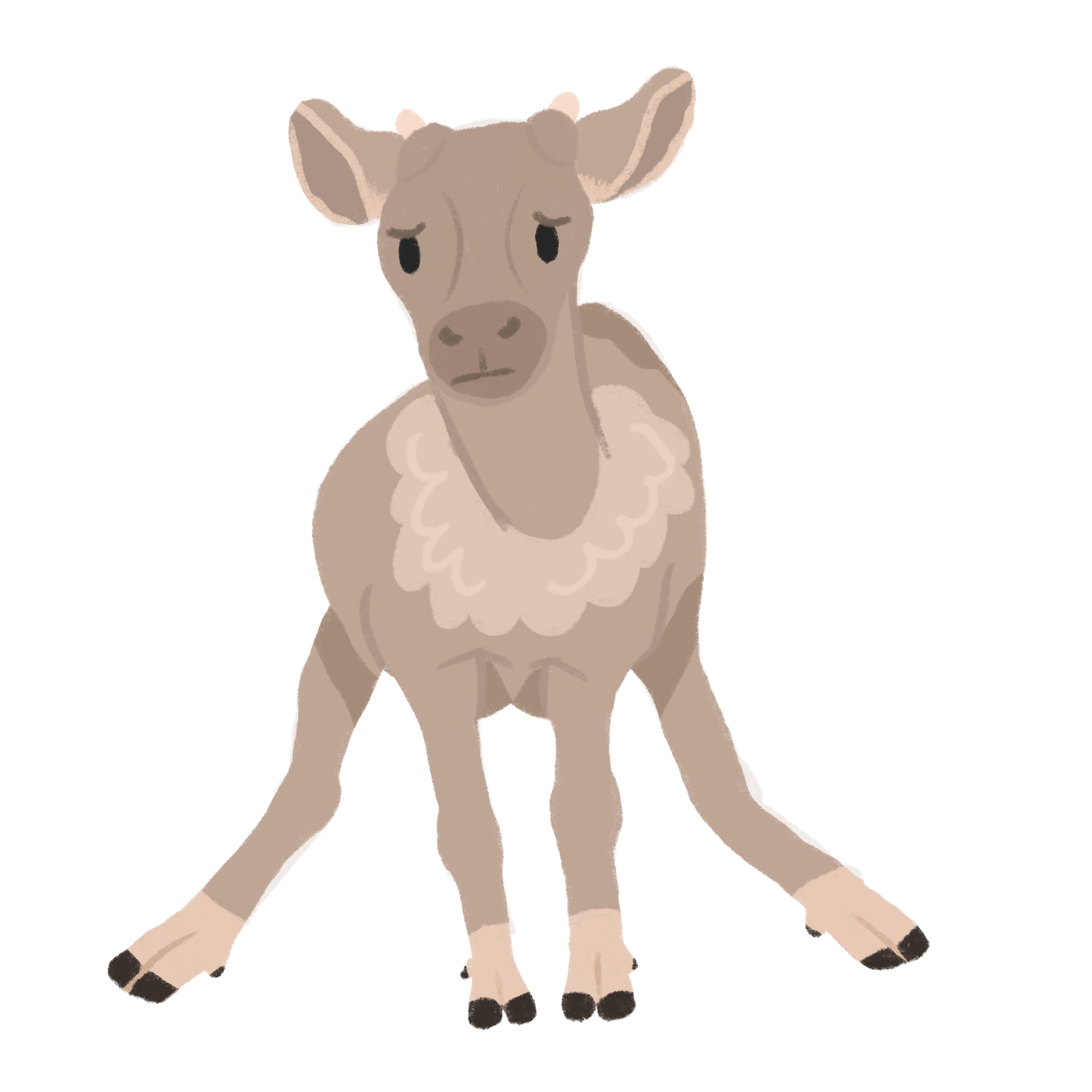 Woodland_Caribou_Calf.png