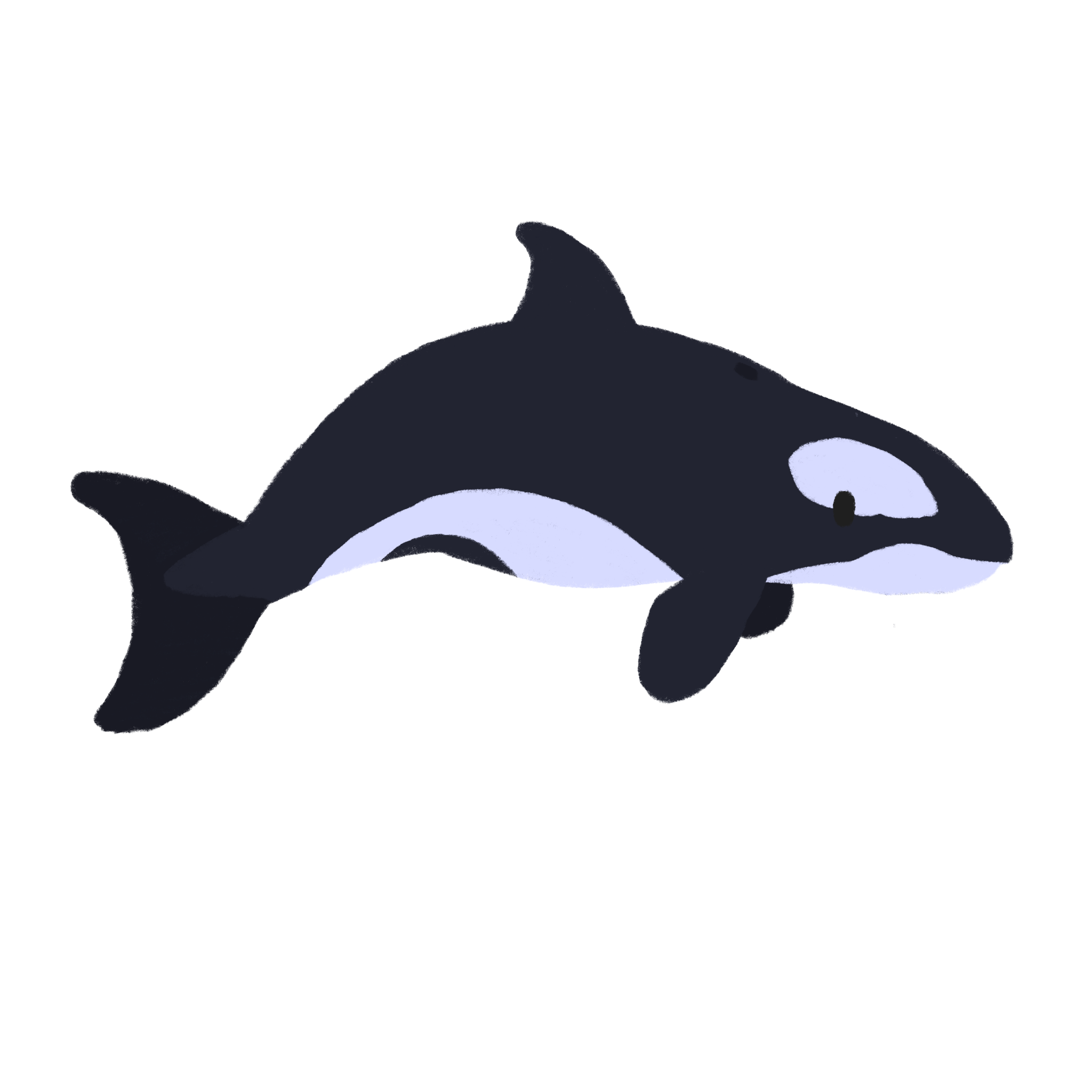 Orca.png