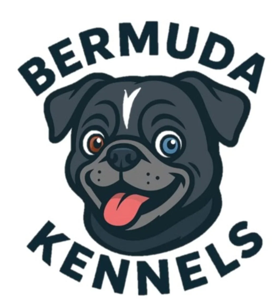 Bermuda Kennels 