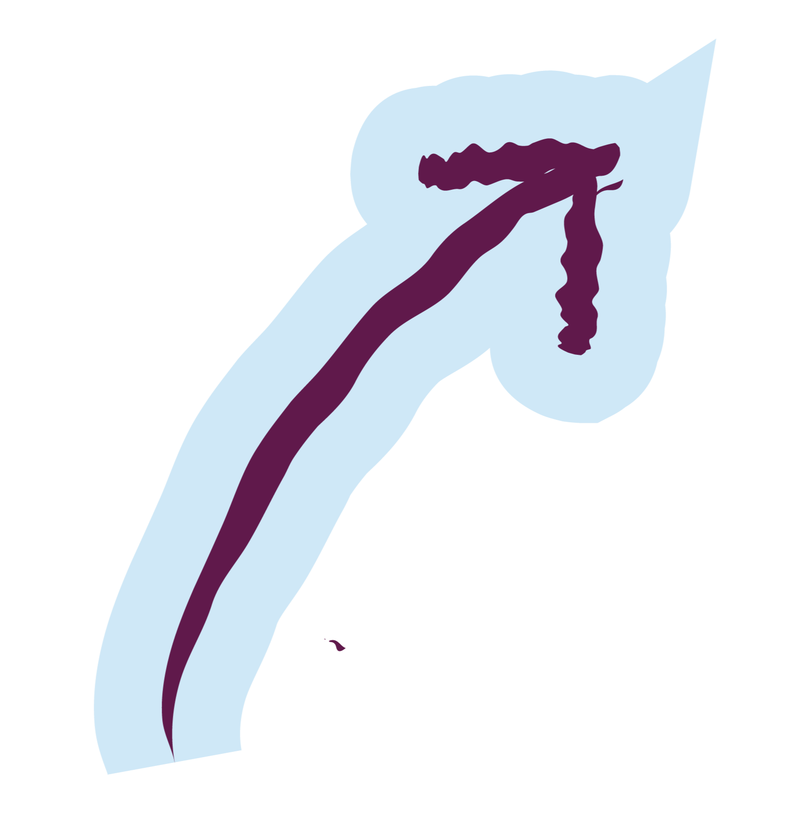 A cross-section of a male human testicle showing the spermatic cord and the seminiferous tubules inside the testicle.