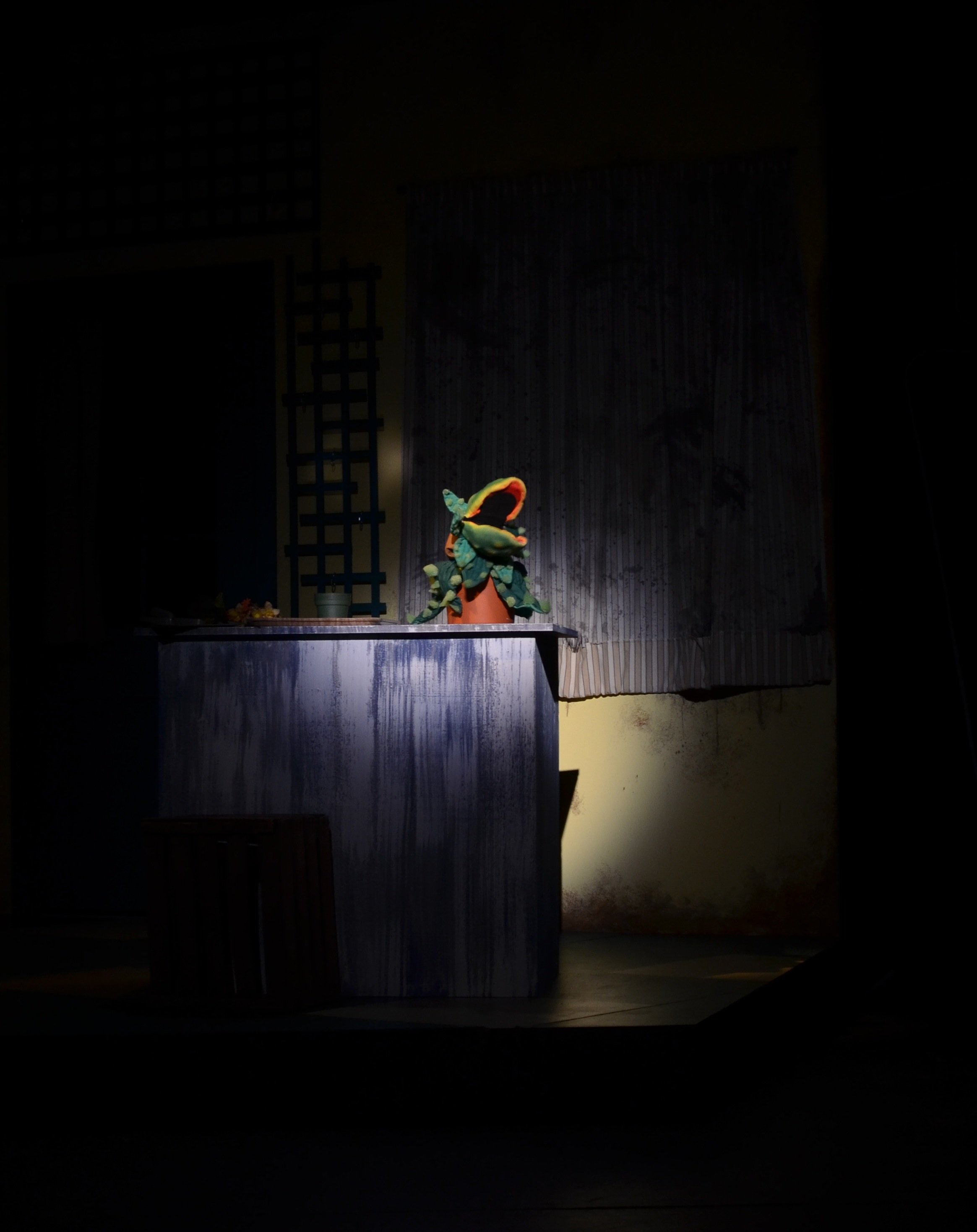 SBN_0715.JPG