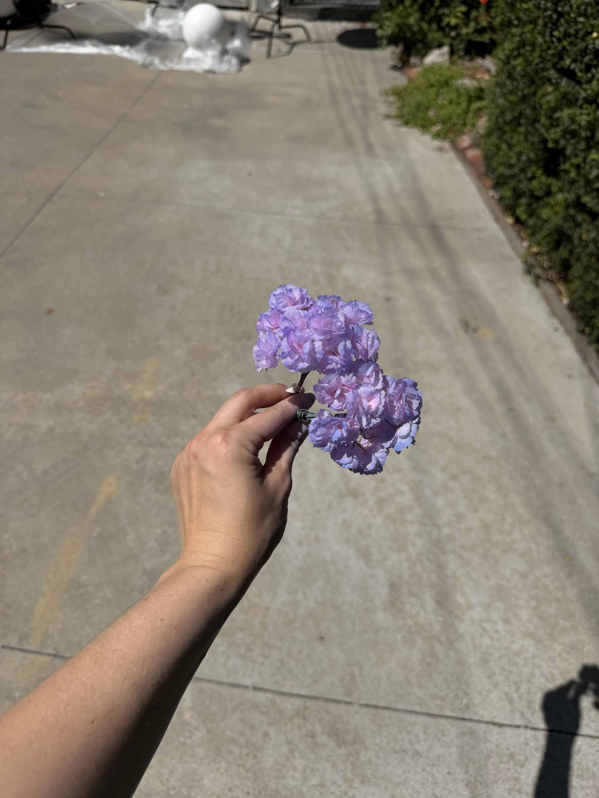 IMG_0495.jpeg