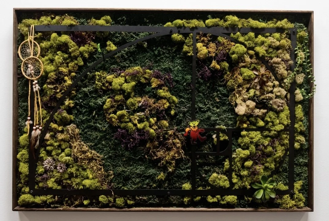 Seeds of Life