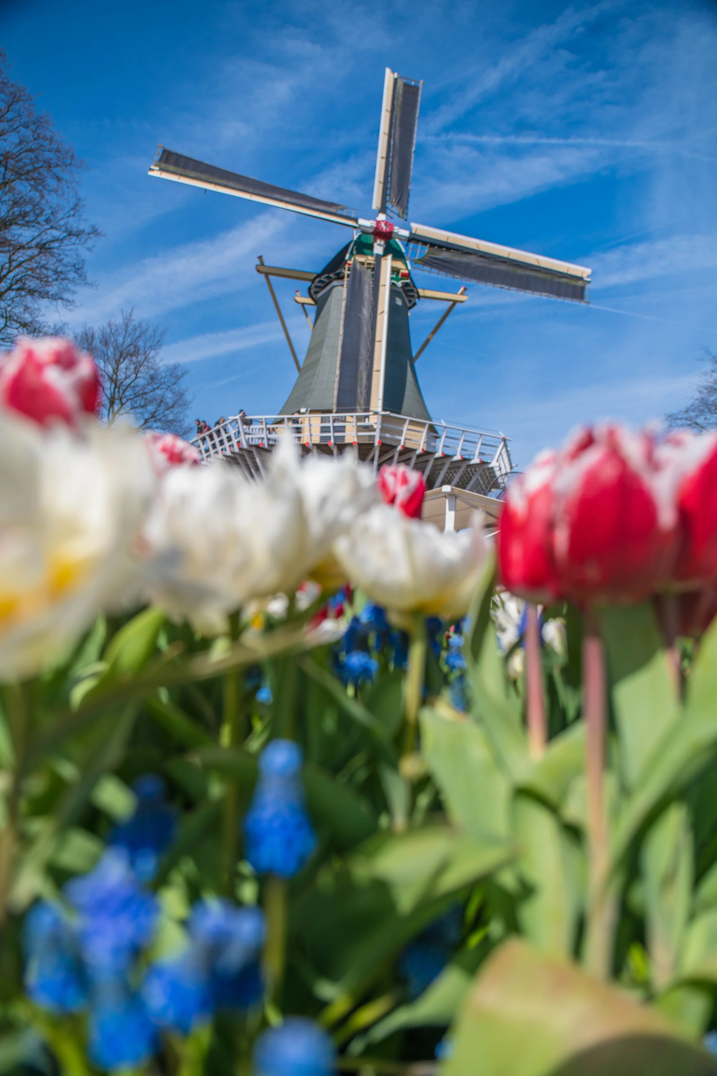 at-the-keukenhof-the-netherlands_26609954075_o.jpg