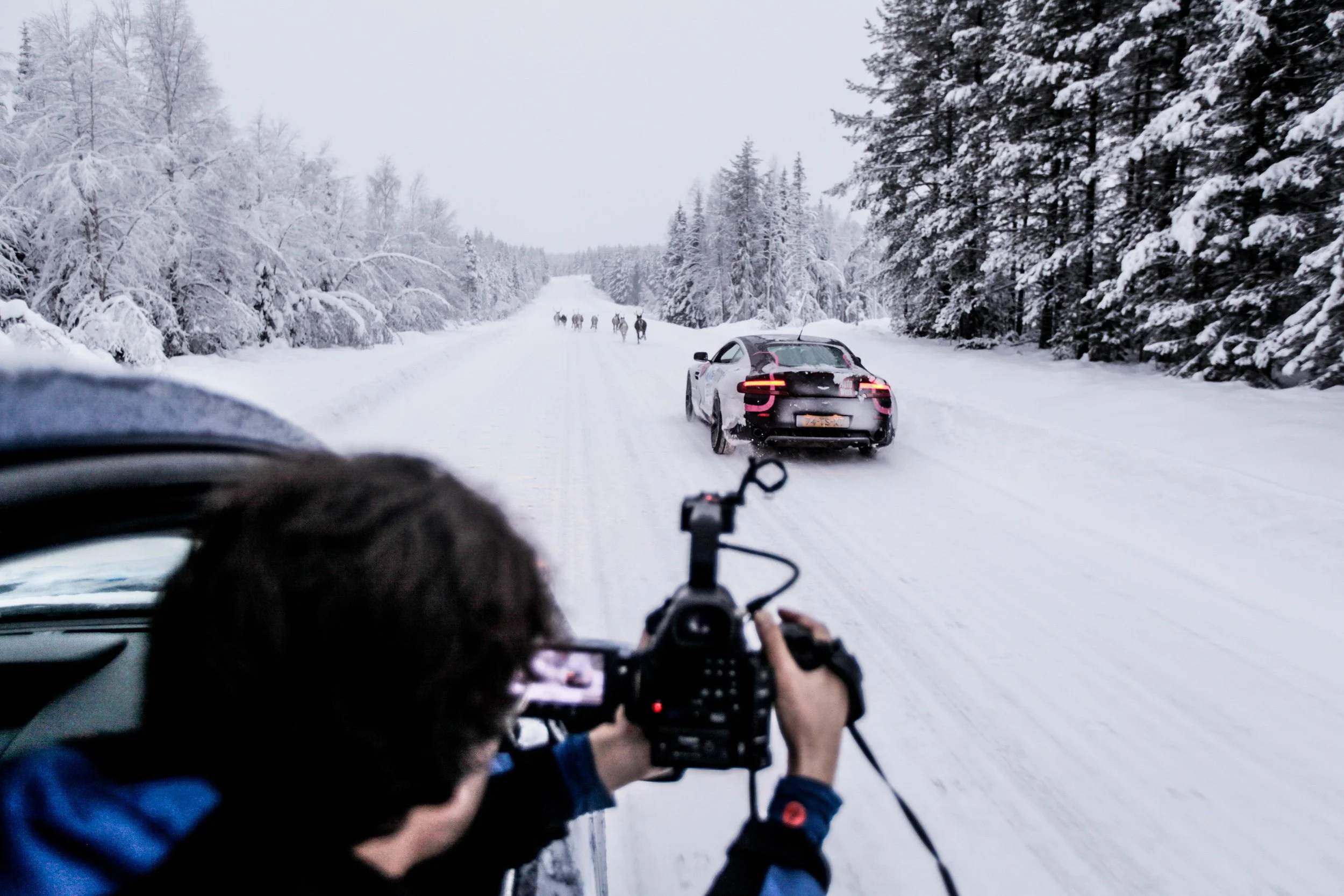 herding-reindeers-with-an-aston-martin_23544754824_o.jpg