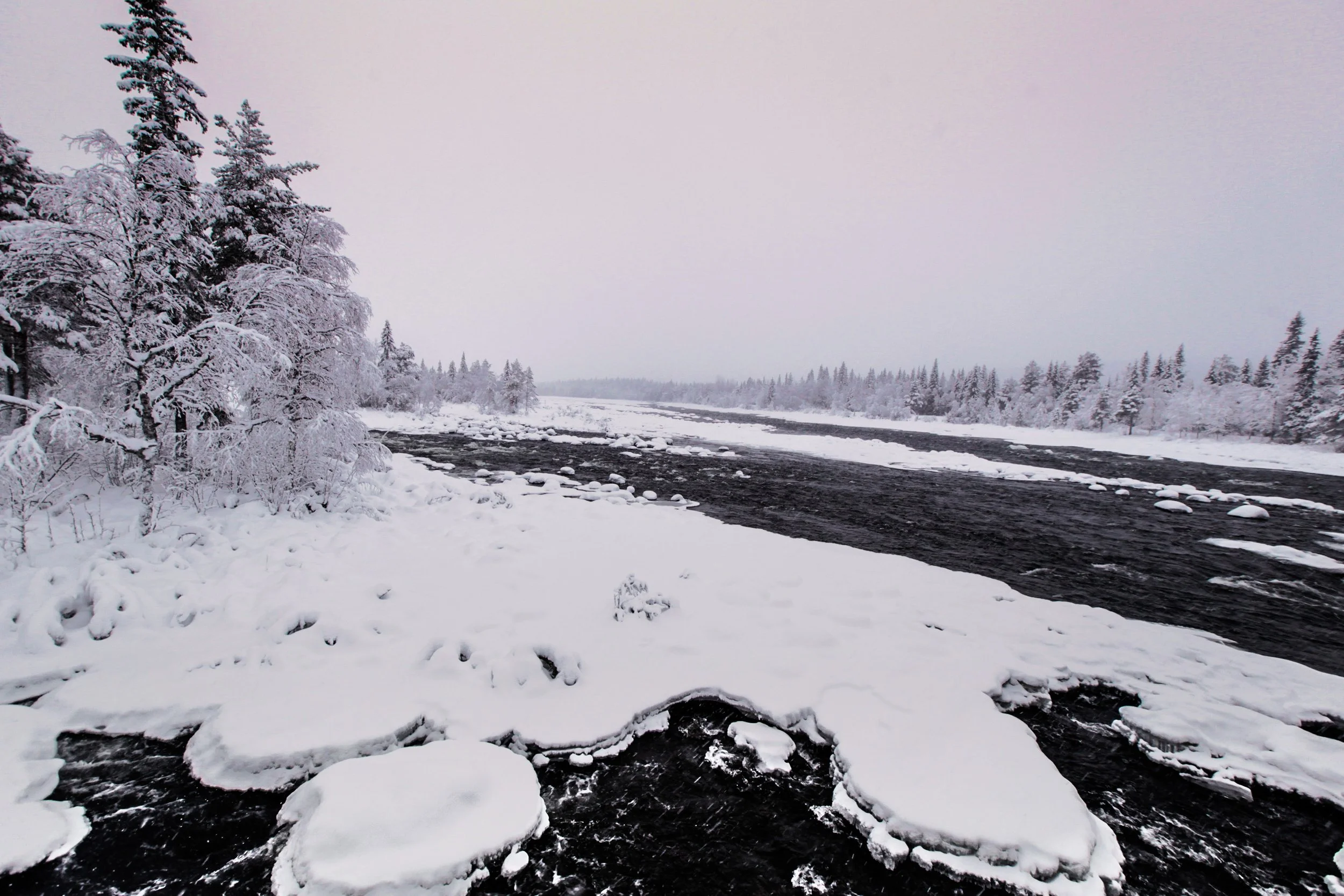 near-the-arctic-circle-sweden_24064892442_o.jpg