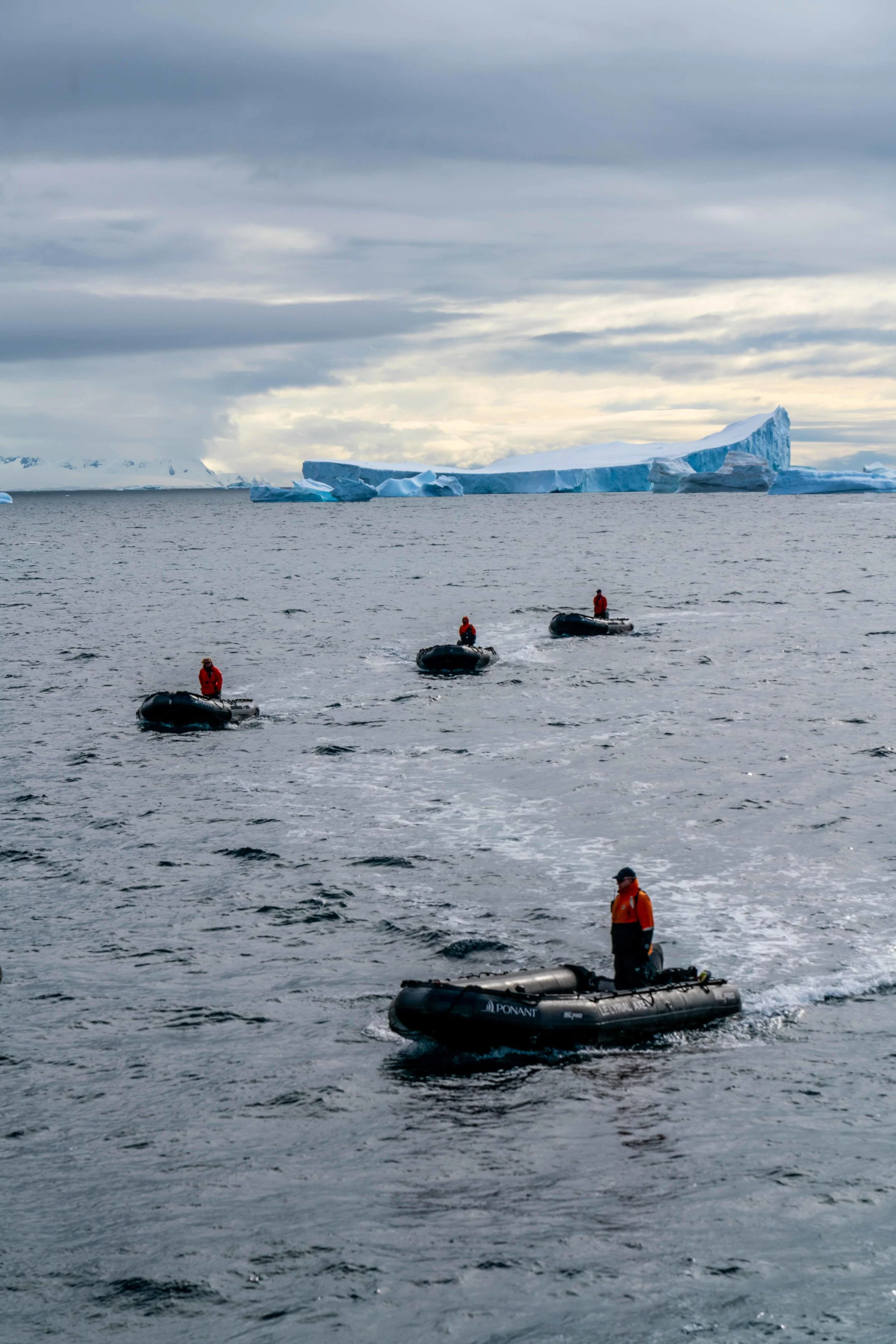 Antarctica - Reinier van Oorsouw (550).jpg