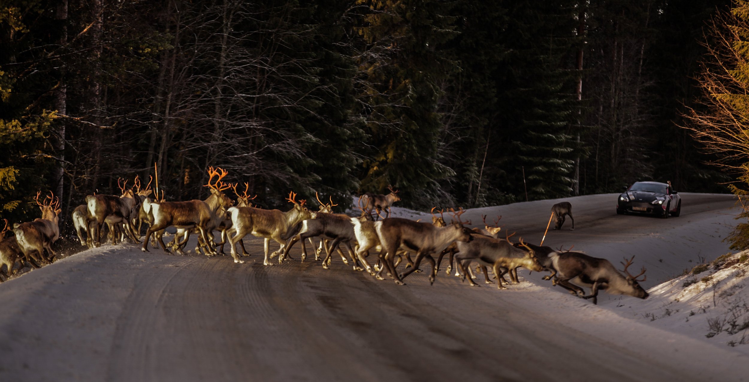 walking-through-the-lights_24172948905_o.jpg