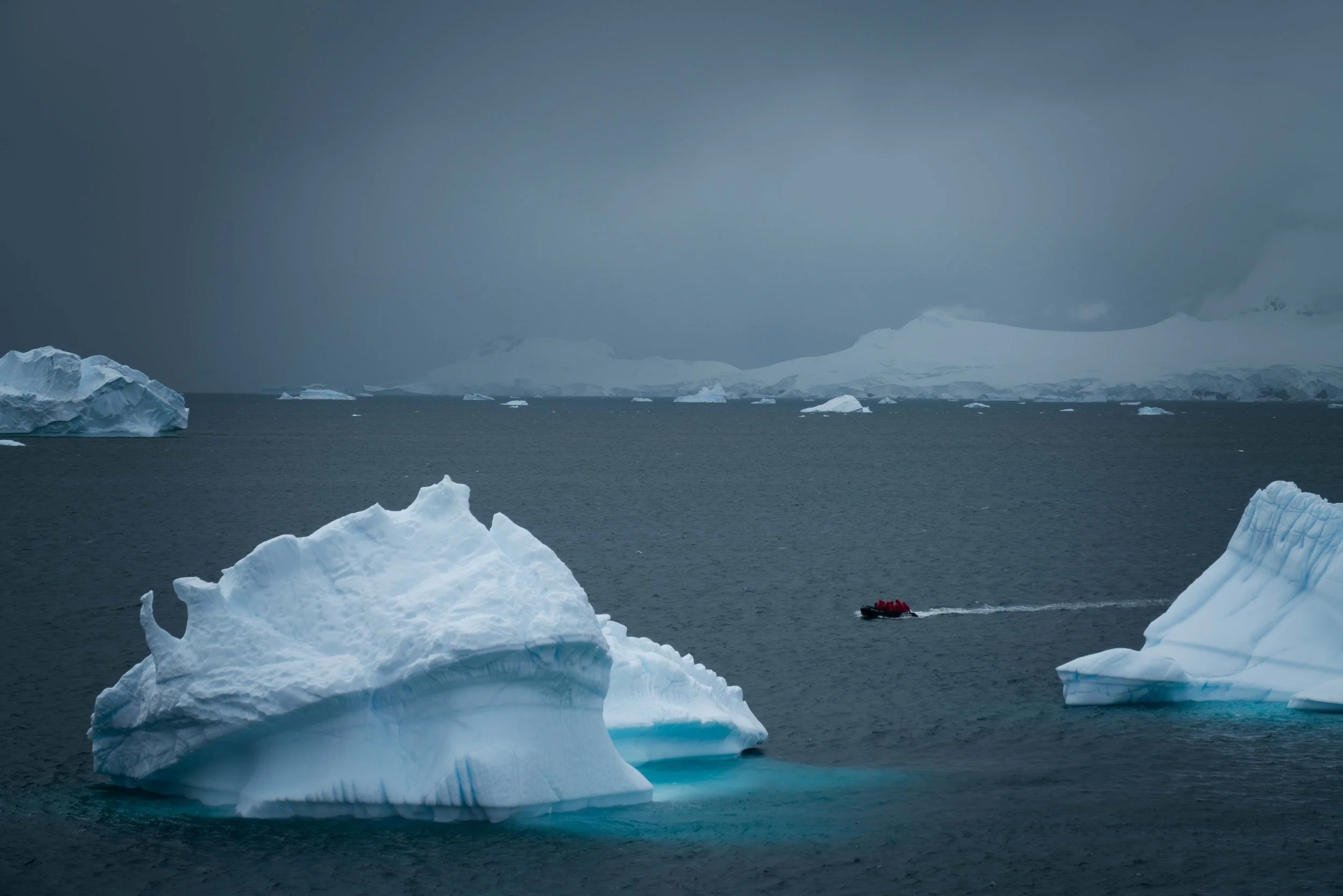_DSC0541.jpg