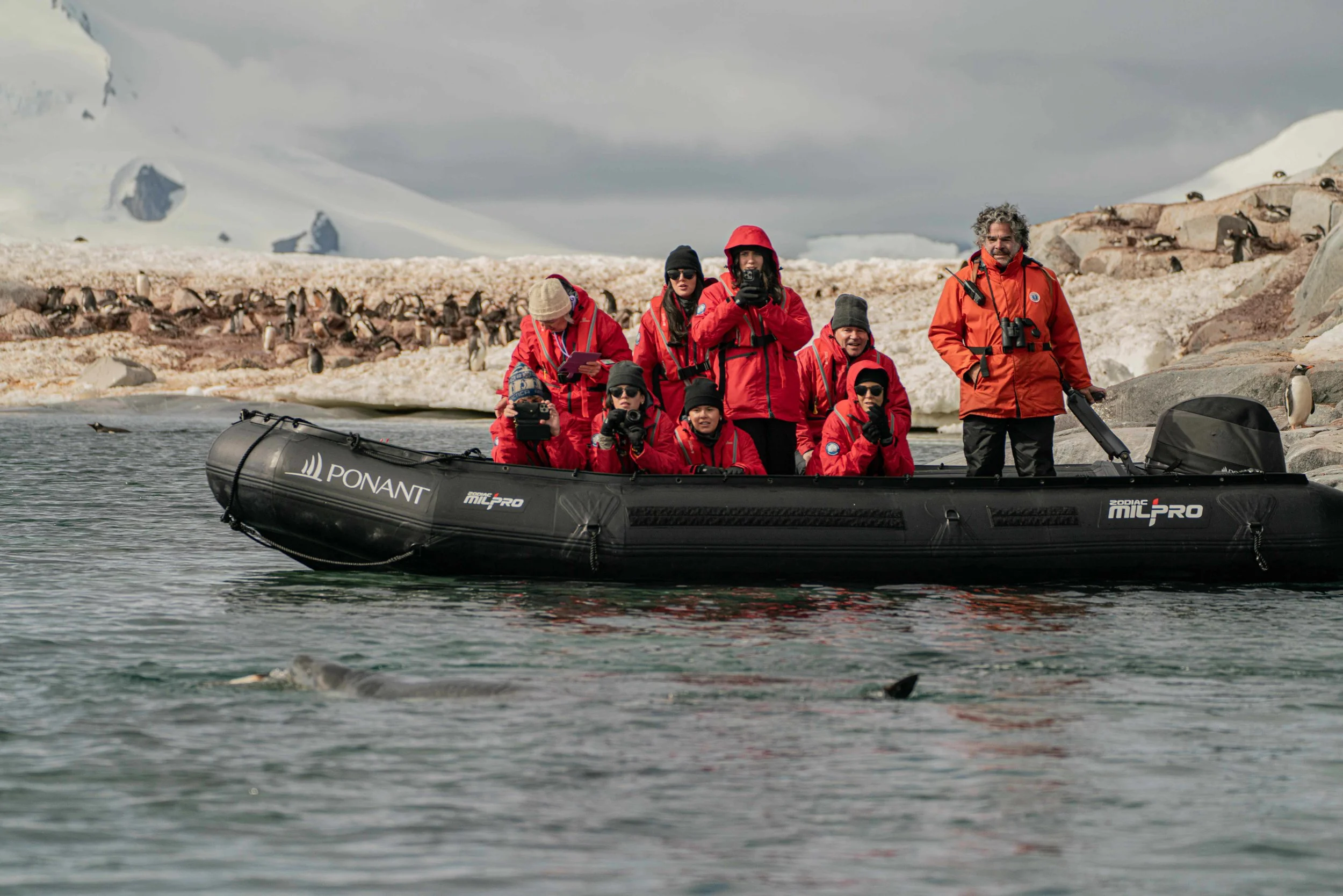 Antarctica - Reinier van Oorsouw (552).jpg