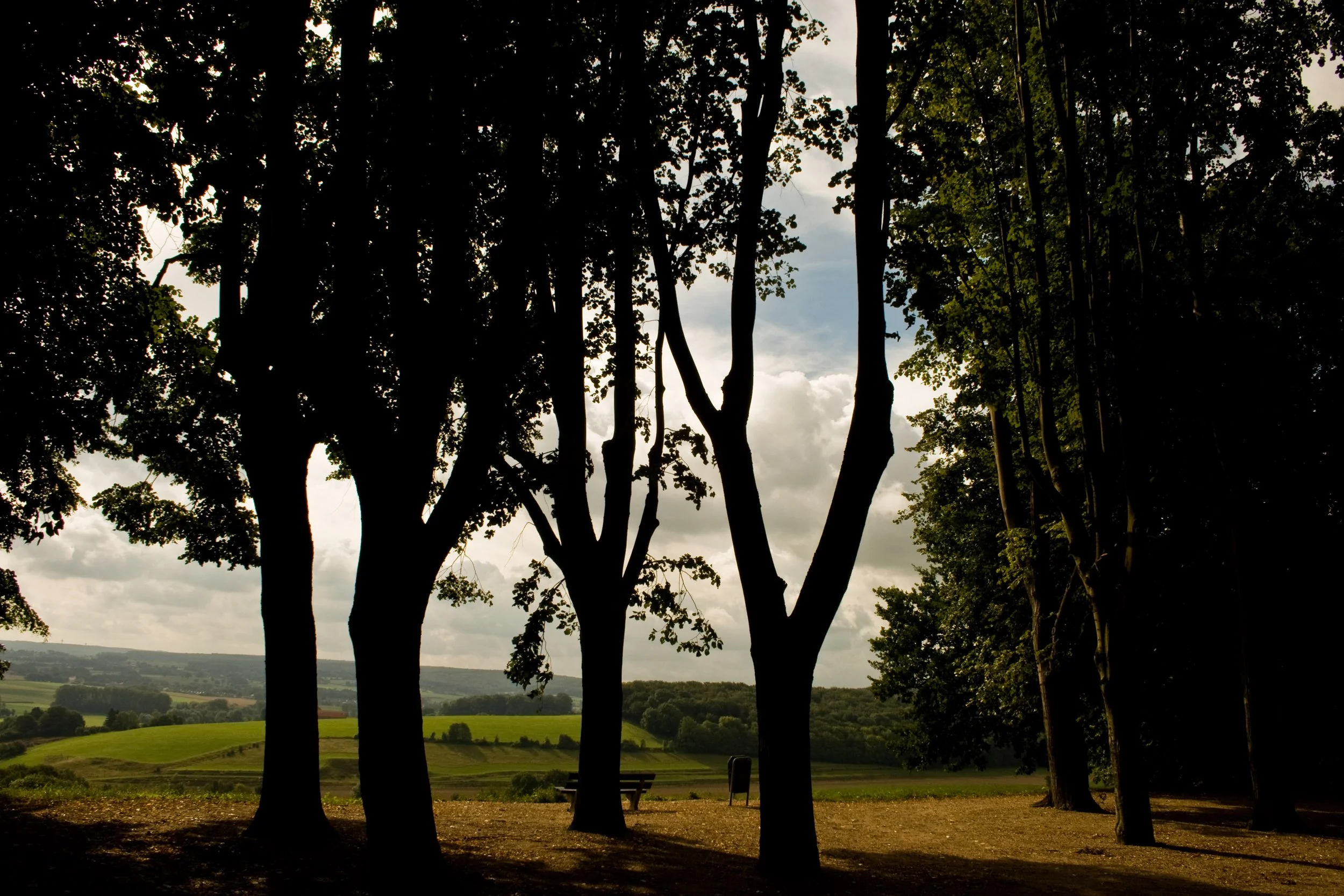 limburg---the-netherlands_8145912482_o.jpg